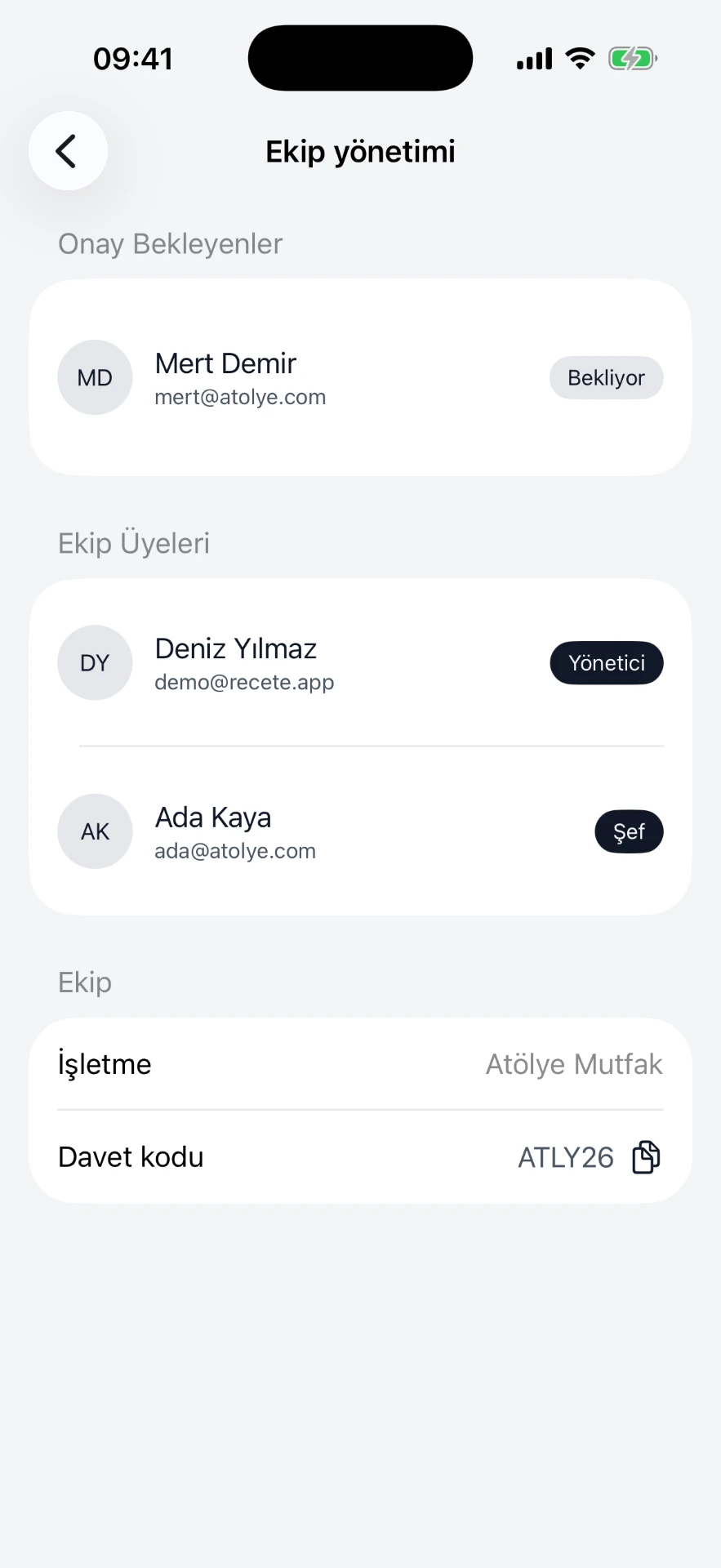 Ekip yönetimi ve roller ekranı